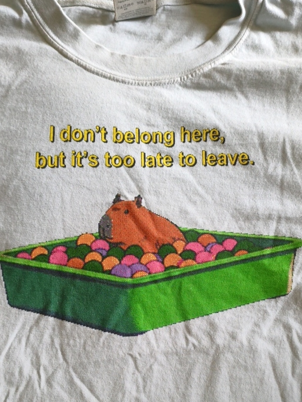 Comfort Colors White Tee with Colorful Capybara Ball Pit Graphic